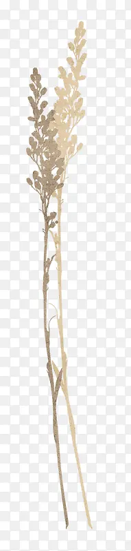 ֦Ҷװ���ز�-������