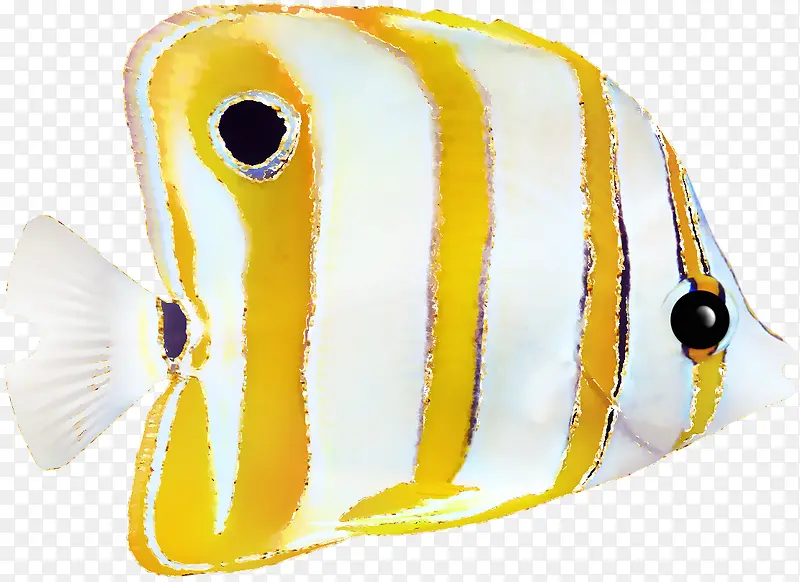 ��ɫƯ��������-������