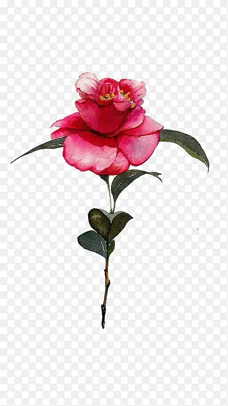 �ֻ��¼���-������