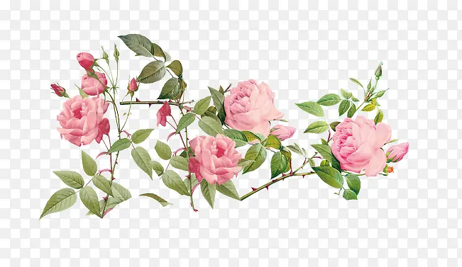 ��ͨ�ֻ��¼���-������