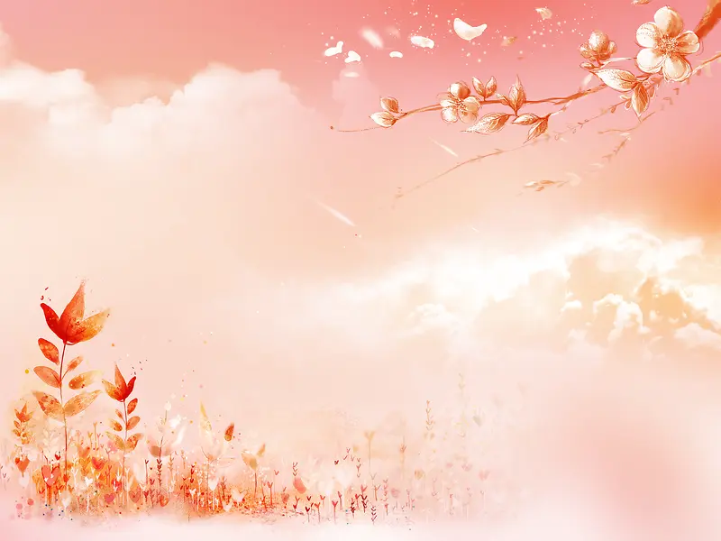 Ψ����ɫ��֦��������-������