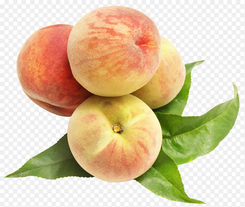 ��ζ����-������