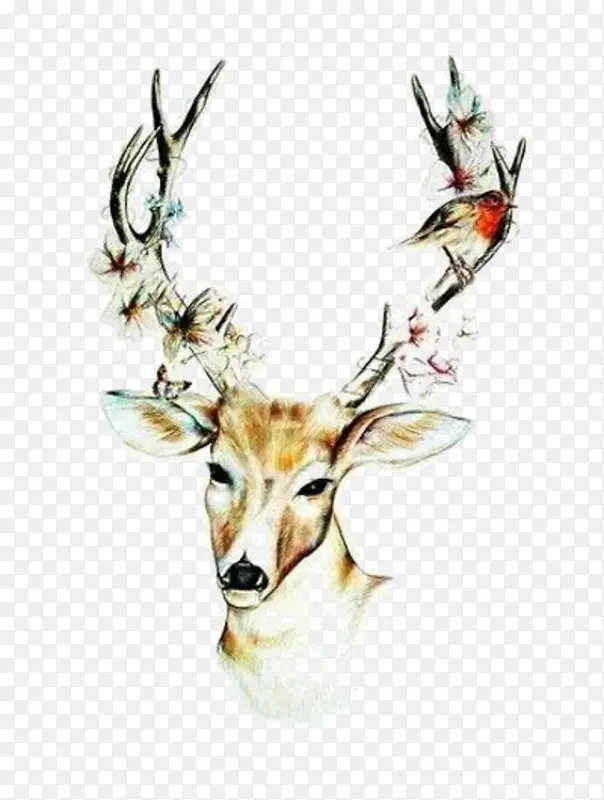 Ψ������-������