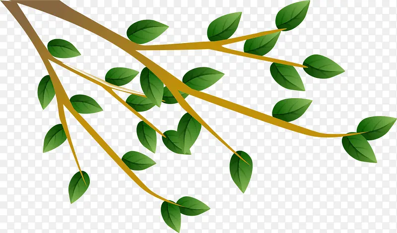 ��֦-������