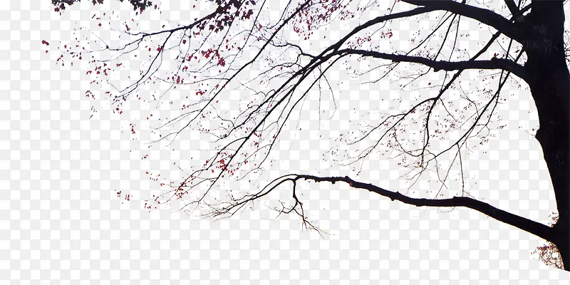 ����-������