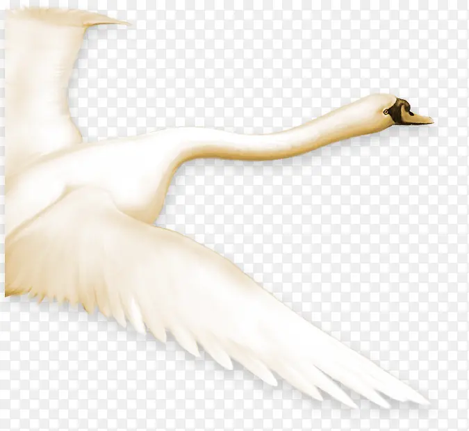 �������촴��ɰ�-������