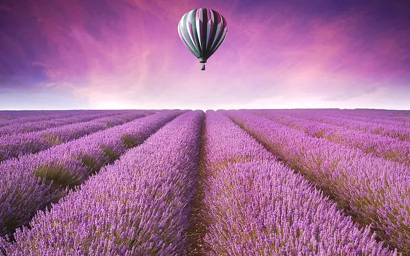 ޹�²ݵ���-������