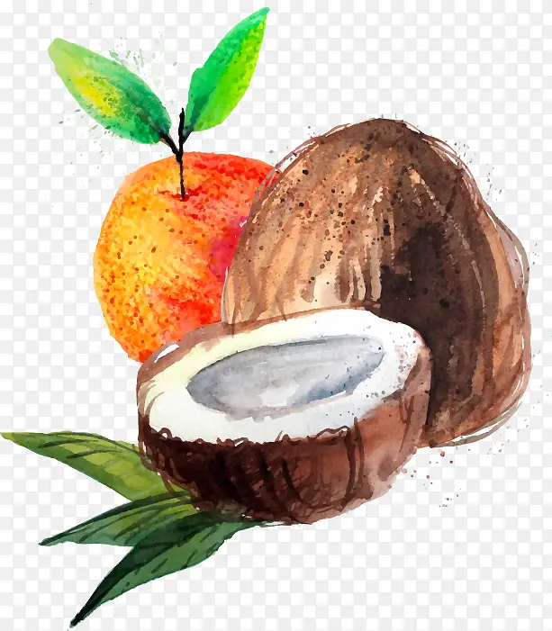 ˮ��ʸ��ˮ��-������