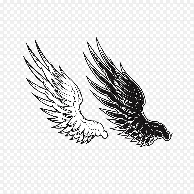 �ڰ׳��-������