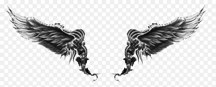 �ڰ׳��ͼ��-������