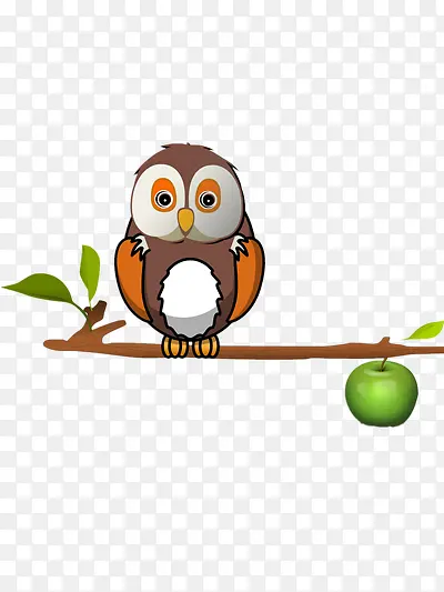 ��ľ��ʸ��ͼ-������