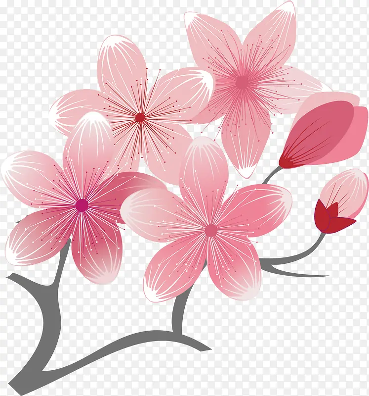 ʸ��ͼ��ɫ�����һ�-������