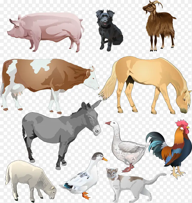 ʸ����ͨ����-������