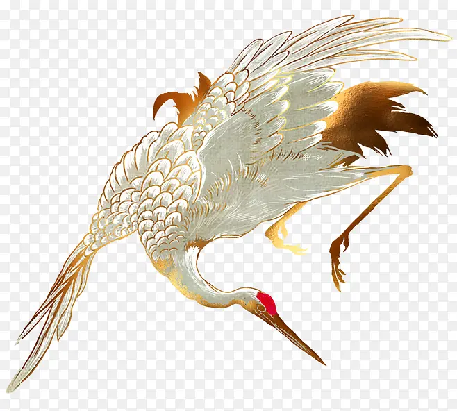 ��ɫ�ƽ�׺�-������