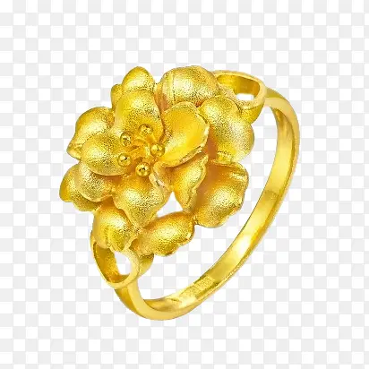 �������ƽ𻨻ܽ�ָ78713R-������