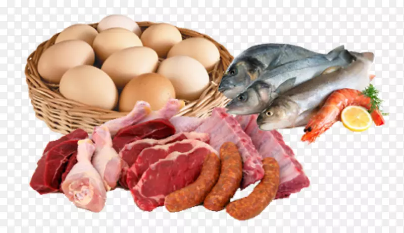 ��ʳ����-������