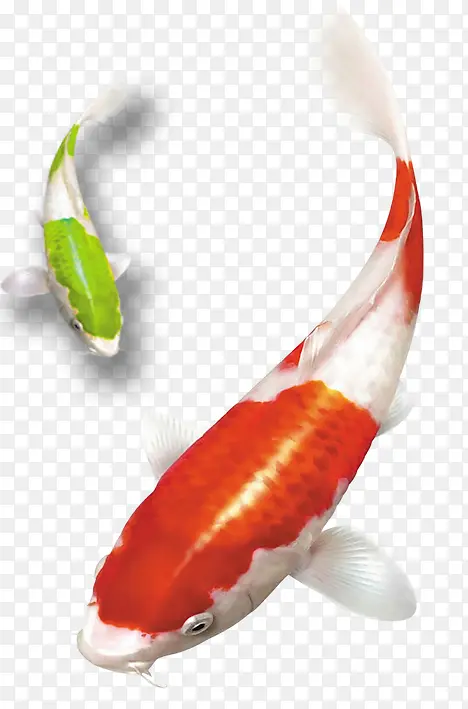 ��ɫ����-������