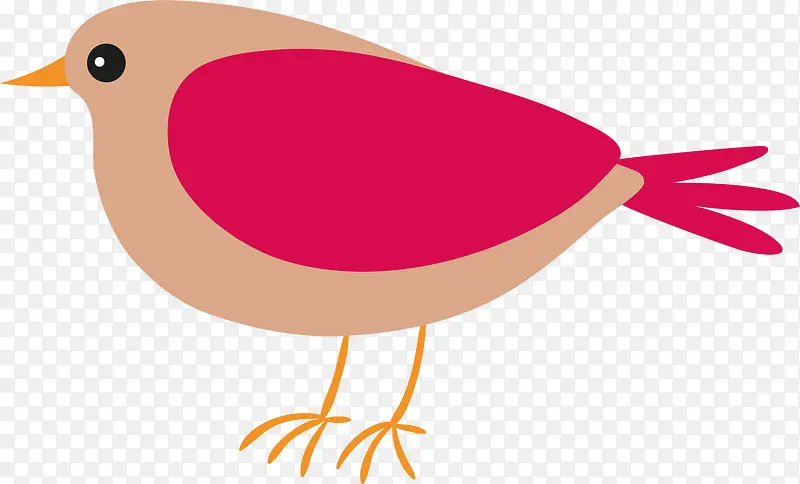 ��ͨС��ʸ���ز�-������