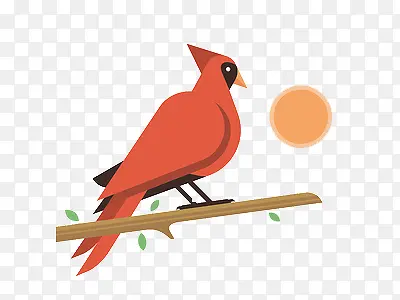 ��ƽ��֦ͷ��С��-������