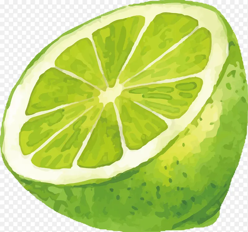 ˮ����ɫ����ʸ��ͼ-������