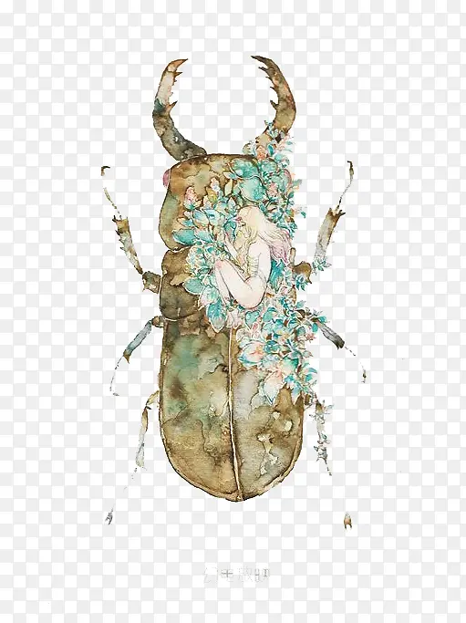 ˮ�ʳ���-������