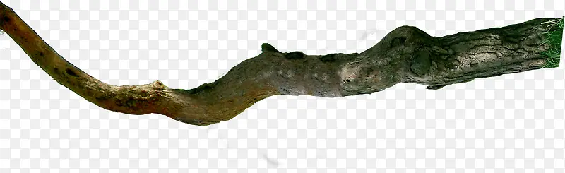 ������Ӱ��ɽ�����ľ��֦-������