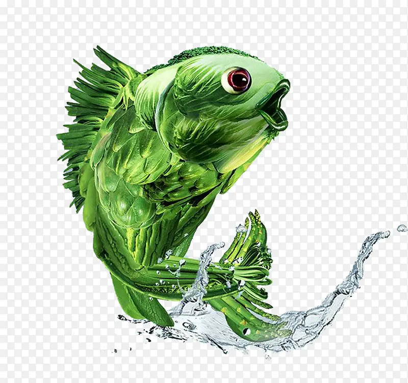 �����߲�-������