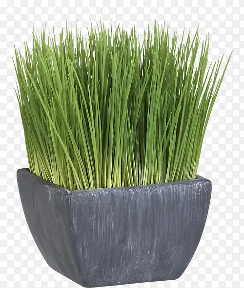 ���⻨��-������