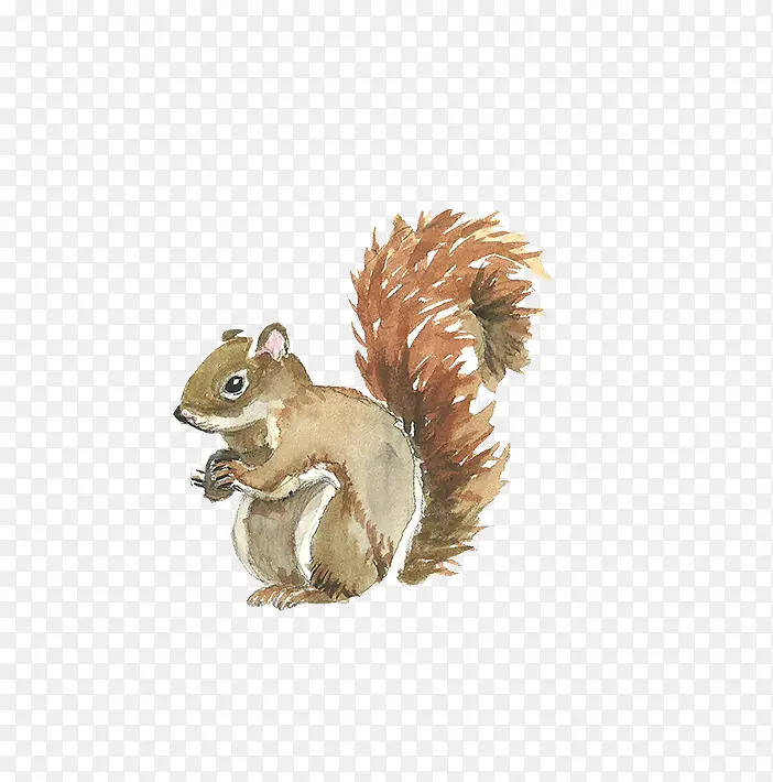 �ʻ涯������-������