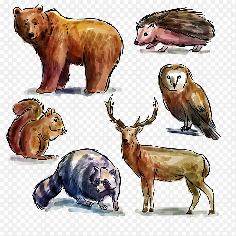 �ʻ�Ұ������ʸ��ͼ-������