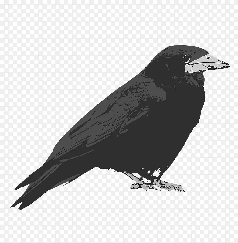 ˮ����ѻ-������