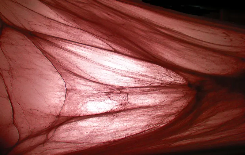 ˿������-������