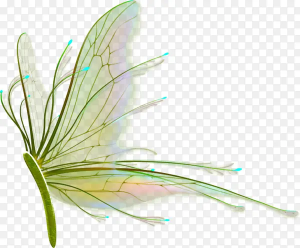 ��ɫ��ͨ������-������