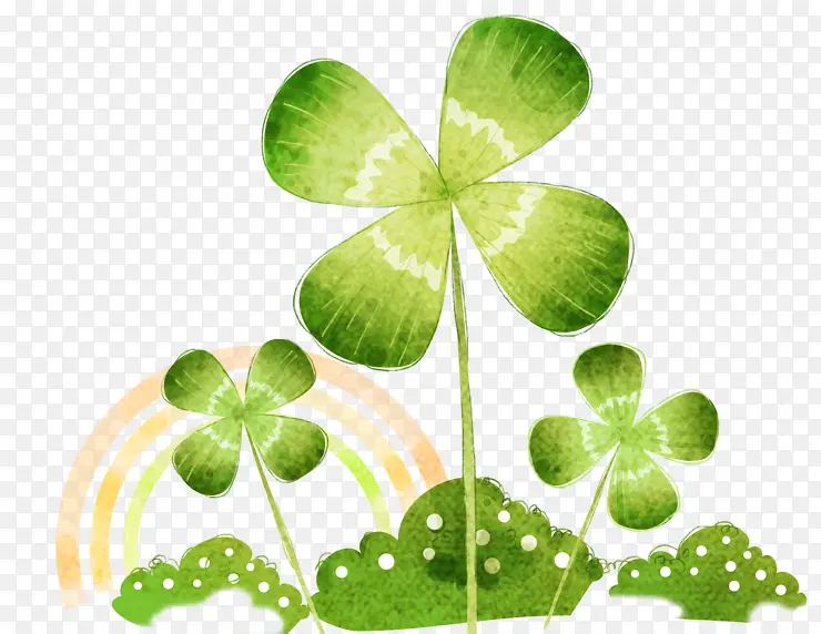 �ʺ���Ҷ��-������