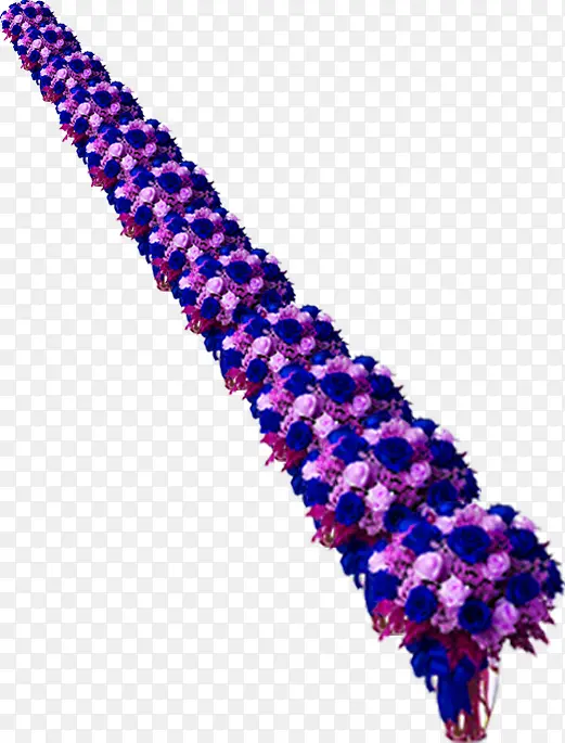 ��ɫ�����ֳ�����-������