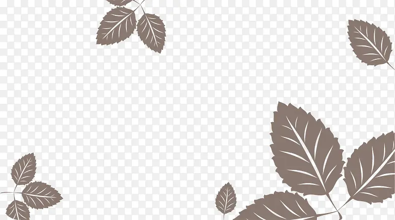 Ҷ��Ư��-������