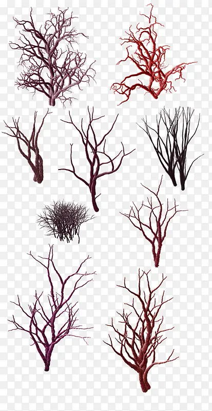 ������֦-������