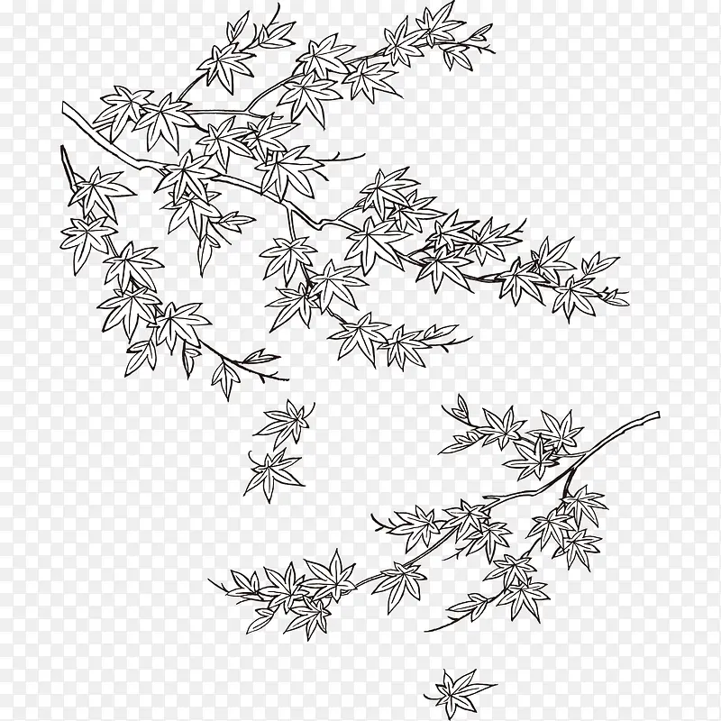 Ҷ��-������