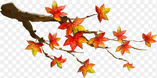 ������Ҷ-������