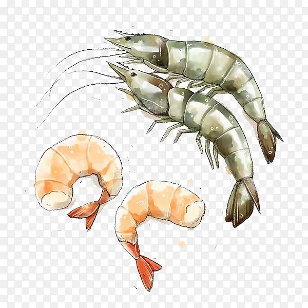 ˮ����Ϻ-������