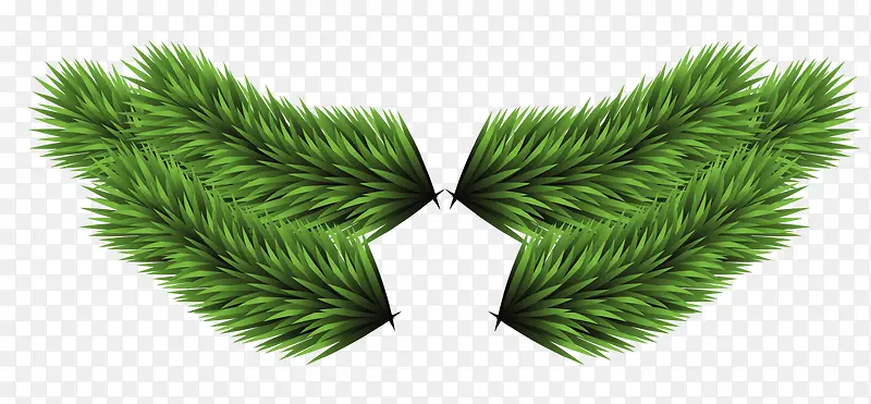 �ɶԵ�����֦-������