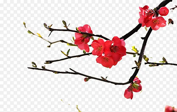 �۹�����-������