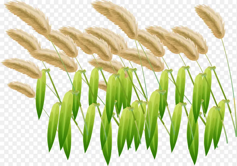 ʸ���ֻ�ëë��-������