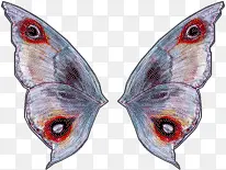 ����ֻ��ȸβ�����-������