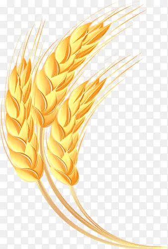 ��ͨ����-������