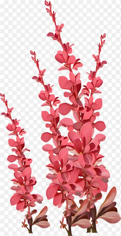 ˮ�ʻ����ز�ps�����ز�-������