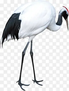 ������Ӱ��Ϣ�ĵ�����-������