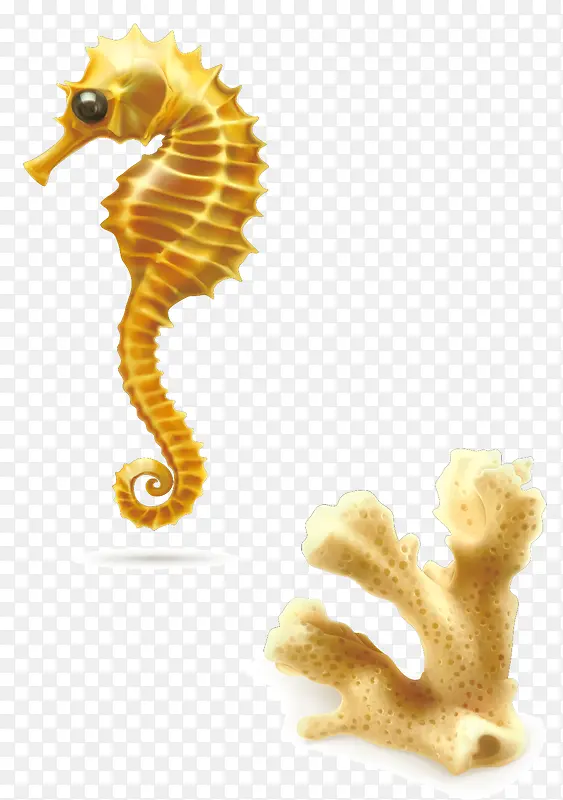 ʸ������ɺ��ͼƬ-������