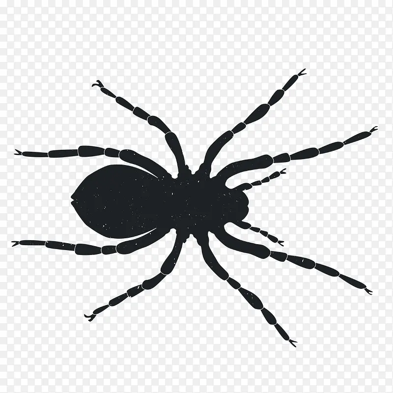 �����Ӱ-������