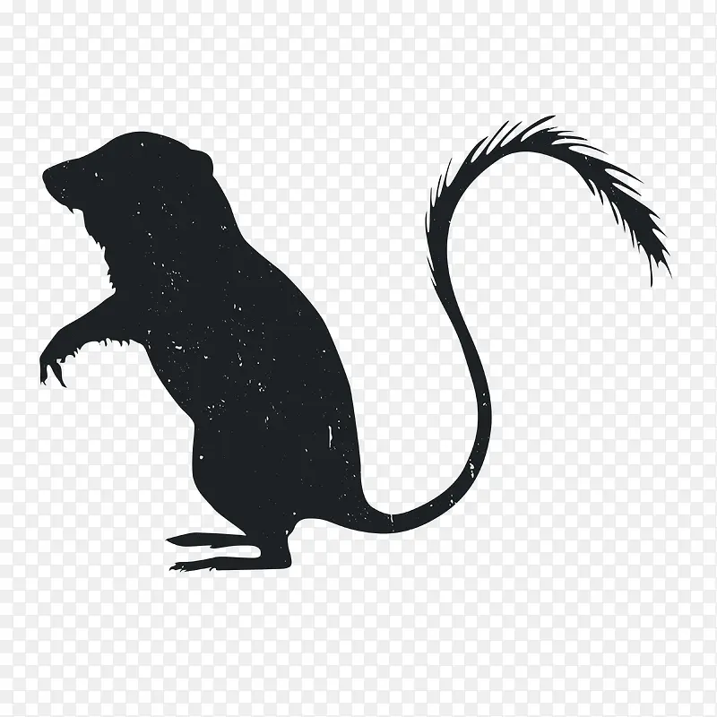 �����Ӱ-������